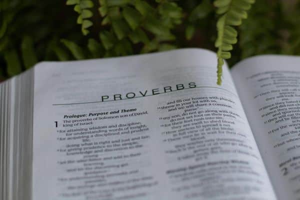 the bible opened to the book of provberbs which is god's medicine for your healing
