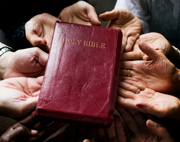 a group of hands holding the bible which is god's word