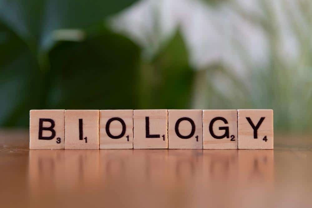 biology spelled out on small wooden blocks on a table